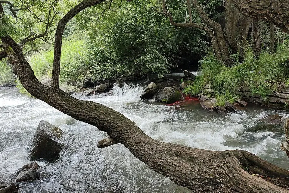 Chichkhan River on the way to Trchkan Waterfall